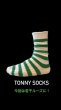 画像6:  TONNY Socks　ボーダーソックス (6)